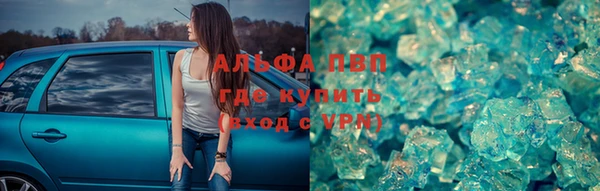 гашик Карпинск