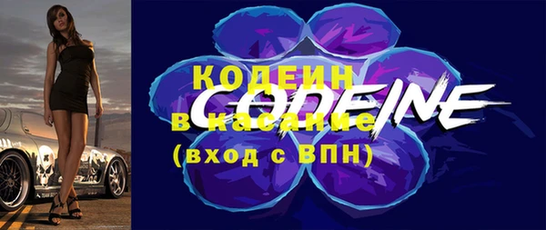 гашик Карпинск