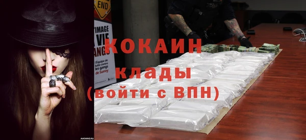 гашик Карпинск