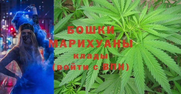 индика Пестово