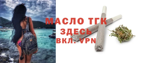 гашик Карпинск