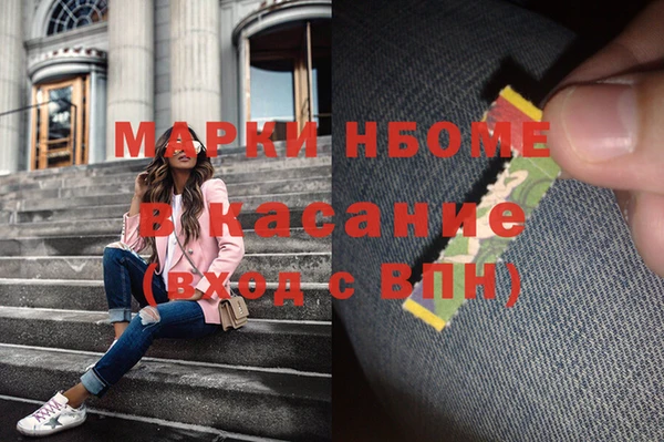 гашик Карпинск