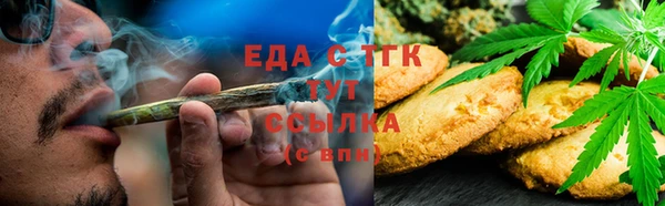 индика Пестово