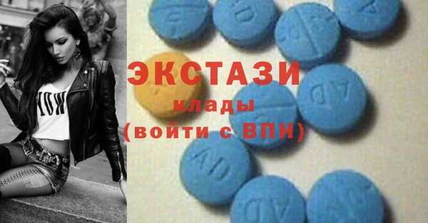 гашик Карпинск