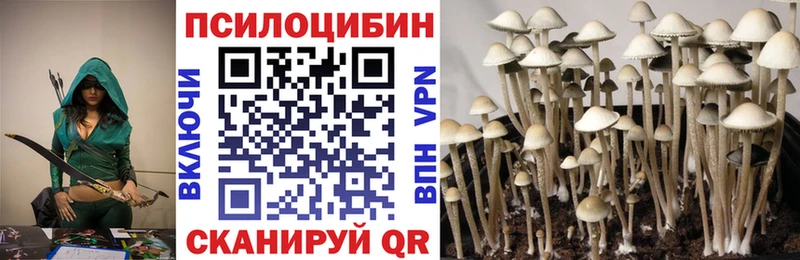 Псилоцибиновые грибы мухоморы  Купить  Заволжск 