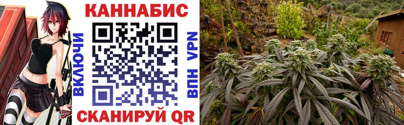 Шишки марихуана гибрид  Купить  Заволжск 